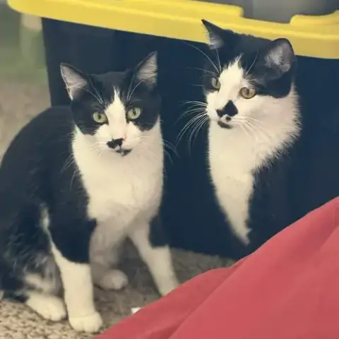 Lefty And Righty