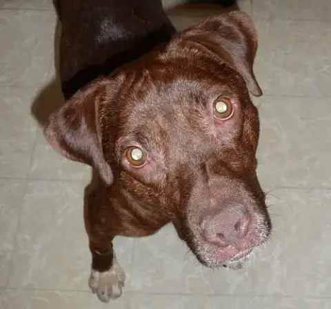 Rusty photo 5