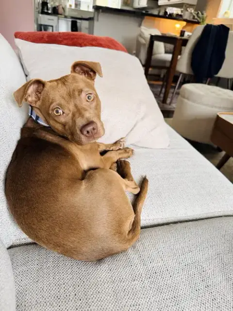 Roux