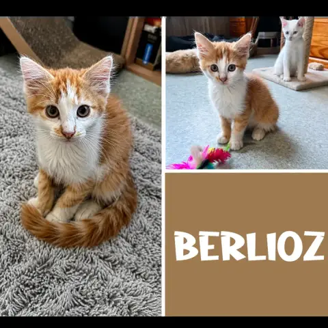 Berlioz