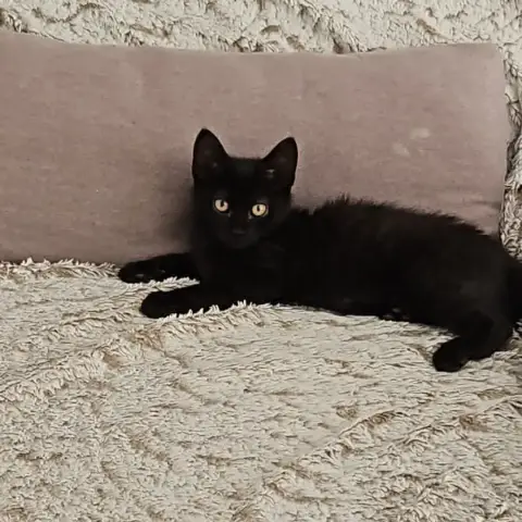 Michka