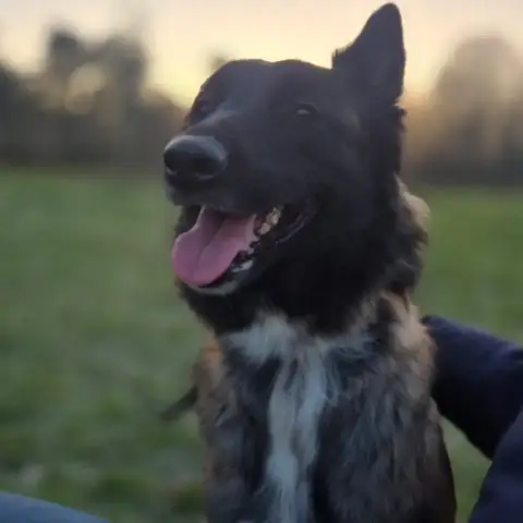 Luna