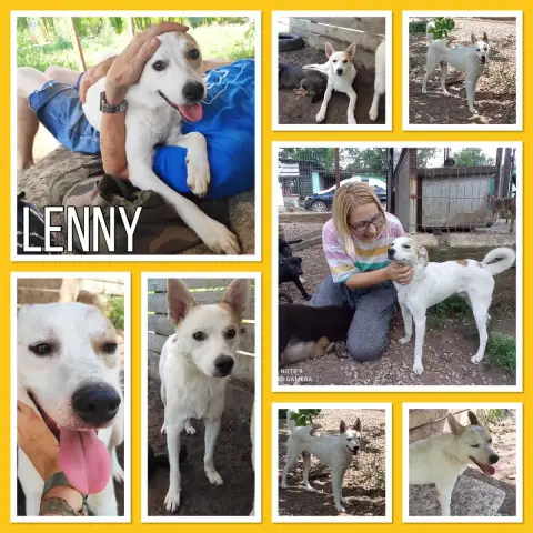 Lenny
