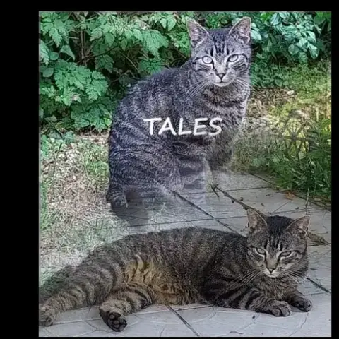 Tales