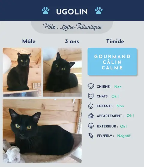 Ugolin