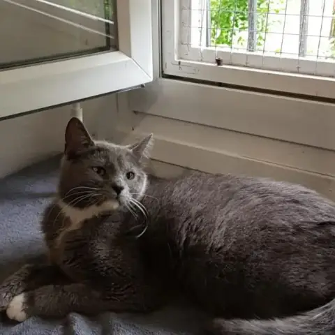 Bianca
