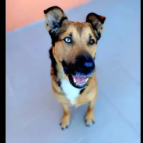 Saïko photo 2