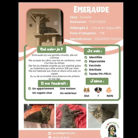 Emeraude