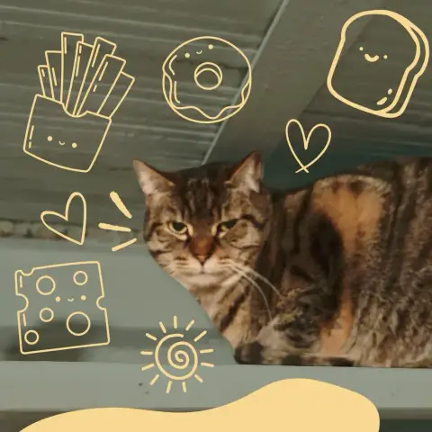 Ruben