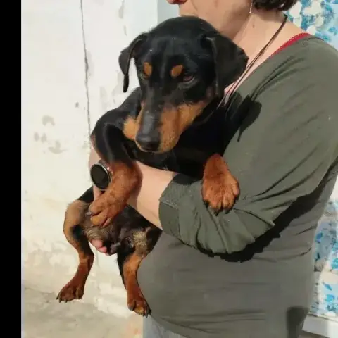 Uma photo 2
