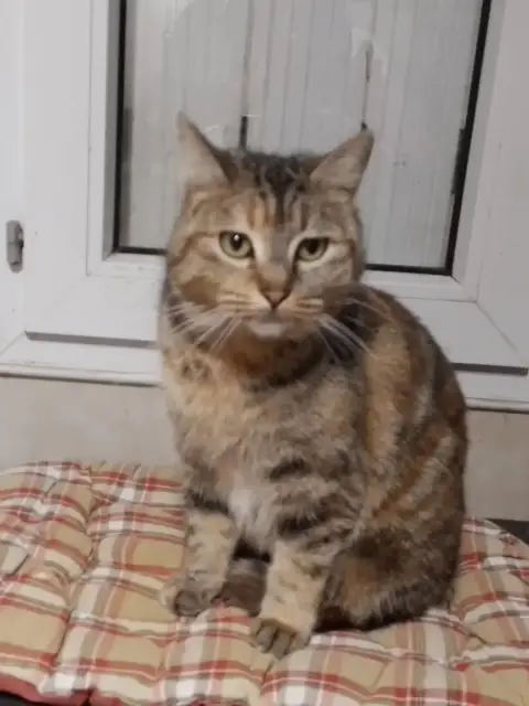 Siska