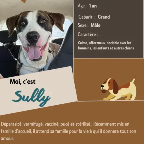 Sully