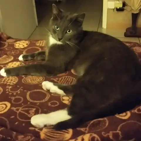 Titus photo 3