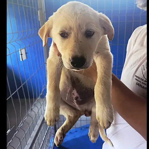 Samy