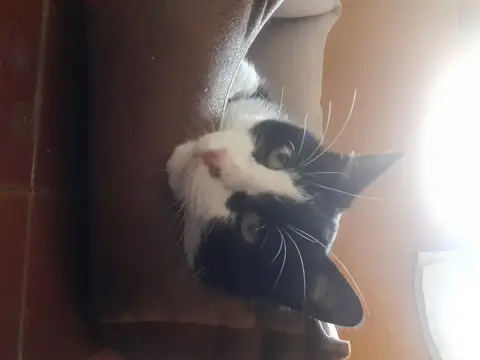 Sos Urgent Un Panier Pour Noe