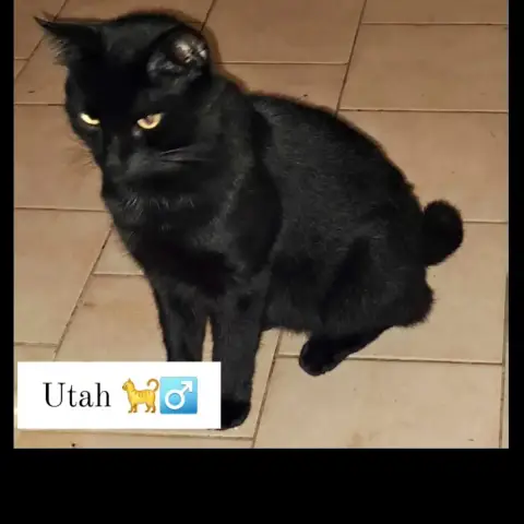 Utah