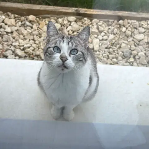 Juliette