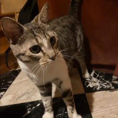 Luna photo 2