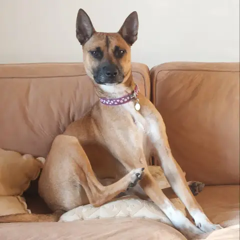 Aïko photo 3