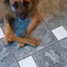 Naya