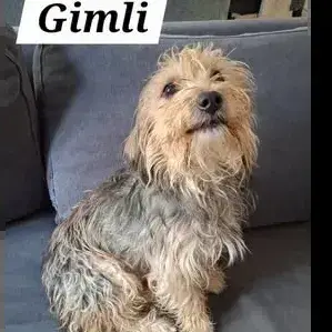 Gimli