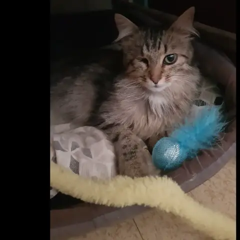 Zoé