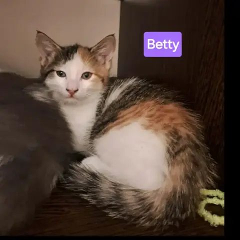 Betty