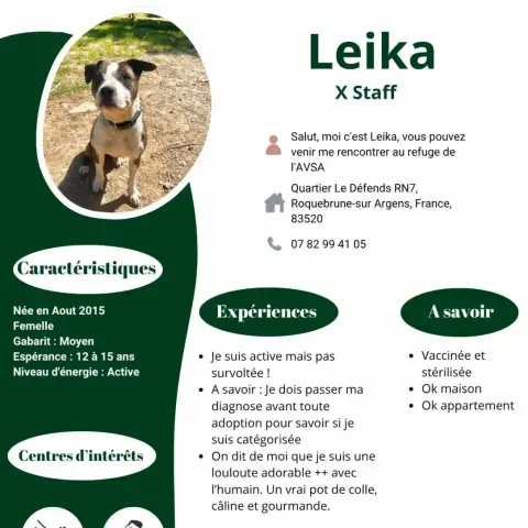 Leika photo 2