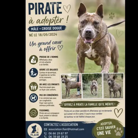 Pirate photo 2