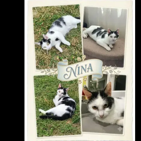 Nina