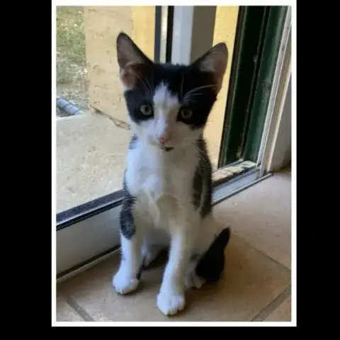 Sirius