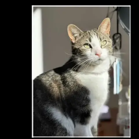 Keiko