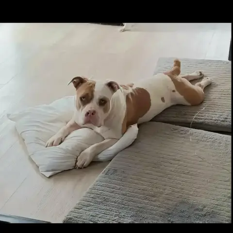 Keïly