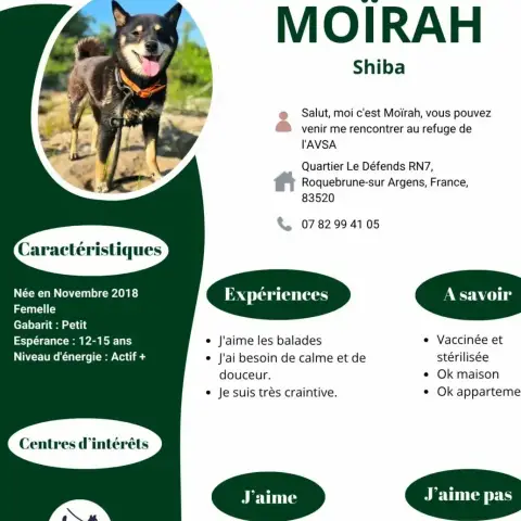 Moïrah photo 2