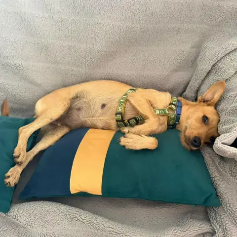 Maya photo 3