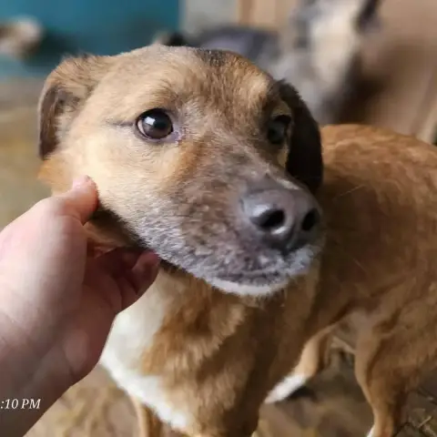 Rusty