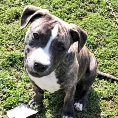 Tuco