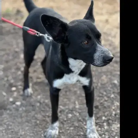 Zeus photo 2