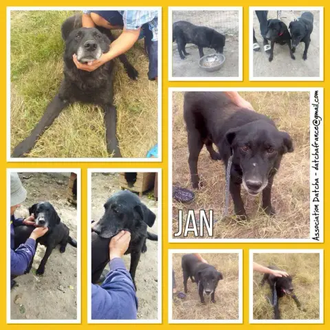 Jan