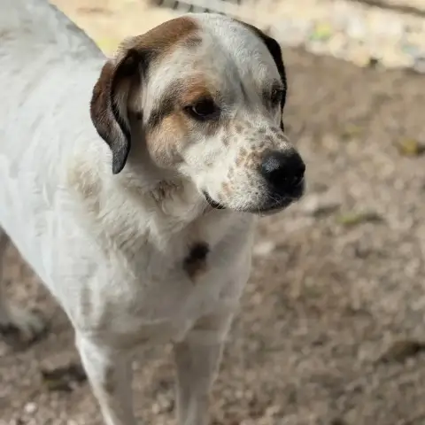 Maya photo 3