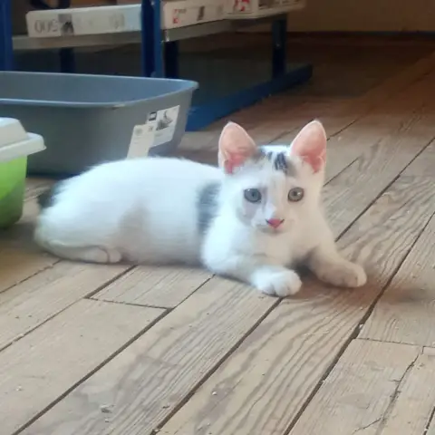 Butters photo 2