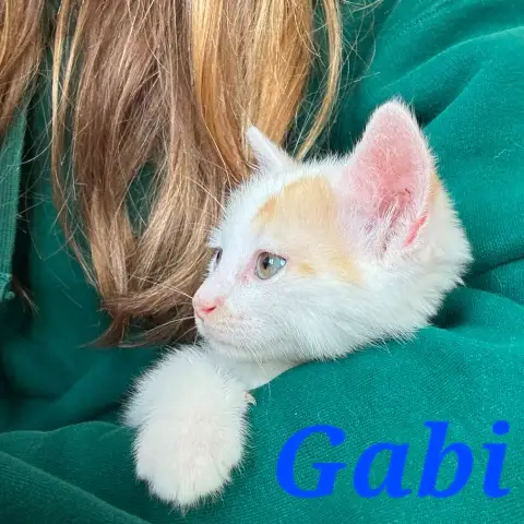Gaby photo 2