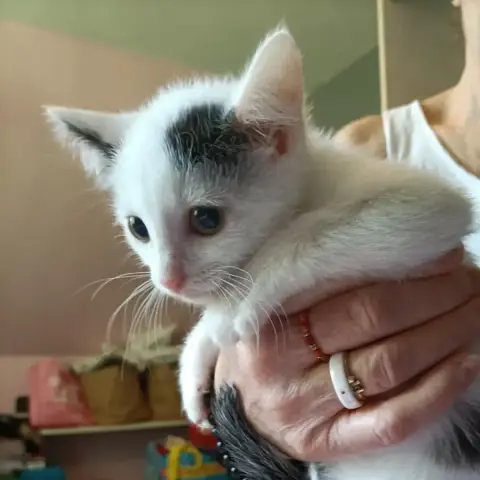Minette photo 2