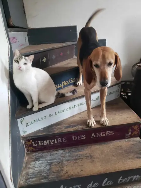 Pepito photo 2