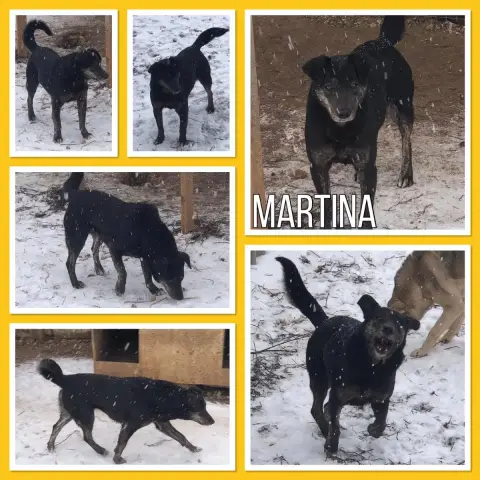 Martina