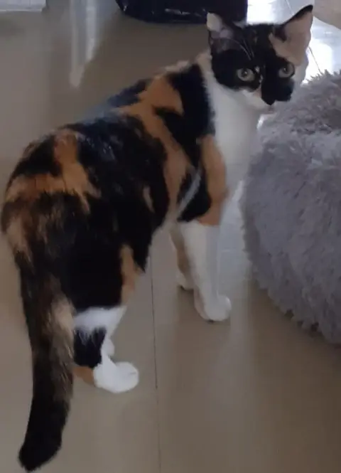 Tina