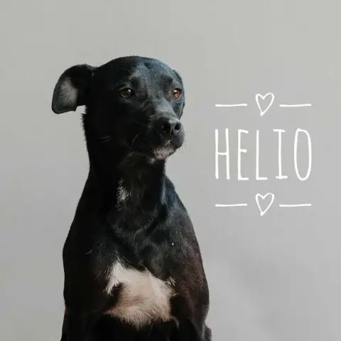 Helio