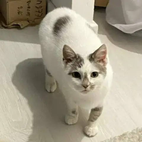 Crème photo 2