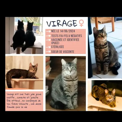 Virage