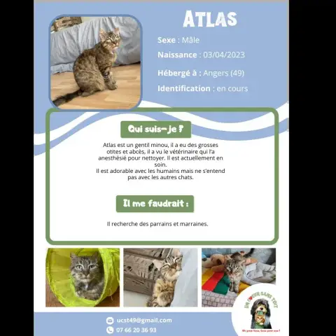Atlas
